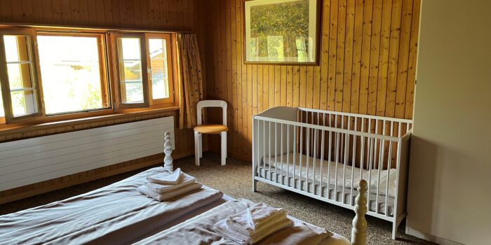 Cott met schilderij - schuin